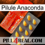 Anaconda Pill new01